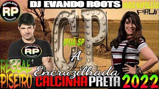 Calcinha Preta💃💃A Encruzilhada + ISTRUMENTAL #Renylson #Produções 💥 HUGO NAPOLEÃO PIAUI