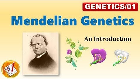 Mendelian Genetics:  P, F1 and F2 Generation (FL-Genetics/01)