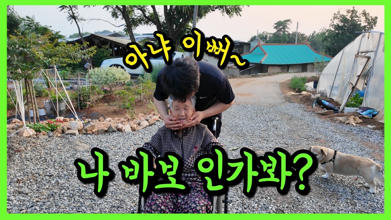 [149화] 치매할머니가 자신이 바보가 된 것 같다고 말씀 하신 사연