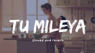 Tu Mileya ( slowed and reverb ) - Darshan Raval | Nexus Music