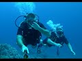 Дайвинг Египет Шарм Стоимость  / Coral Sea Sensatori Ocean College diving 13.12.19