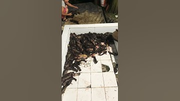 Cá rô. Ruốc Cá Ninh Bình #shorts