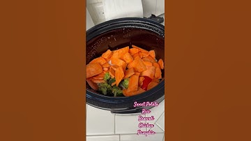 Making Crock Pot Dog Food #dogfood #dogfooding #recipe #freshdogfood #shorts #dog #dogs