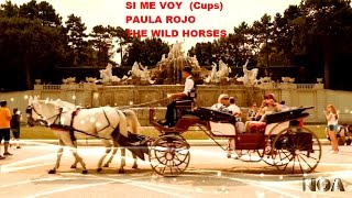 Si Me Voy (Cups) de Paula Rojo- The Wild Horses