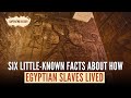شش حقیقت کمتر شناخته شده در مورد نحوه زندگی بردگان مصری 