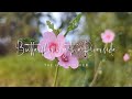 Butterfly by the Riverside 🌸 | Gentle Water Flow & Birdsong for Relaxation & Sleep