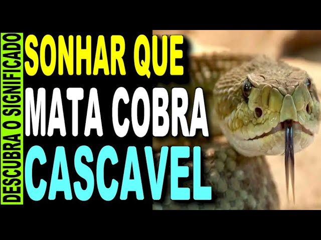 Sonhar com cobra cascavel: desvende seus simbolismos