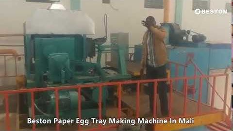 Paper Egg Tray Making Machine In Mali | Single Layer Metal Drying Line