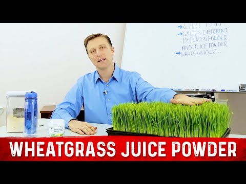 What is Wheatgrass Juice Powder? Benefits Explained By Dr.