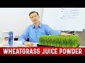 What is Wheatgrass Juice Powder? Benefits Explained By Dr.Berg