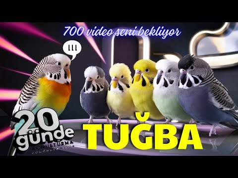 Tuğba'nın Mucizevi Muhabbet Kuşu Konuşturma Deneyimi: 20 Günde Konuşma Başarısı!