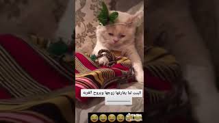 البنت لمازوجها يتركها ويسافر يغترب