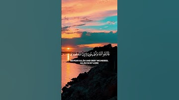 عندما اختلفت الأحزاب... تلاوة تهز القلوب من سورة الزخرف | بصوت بدر البشر