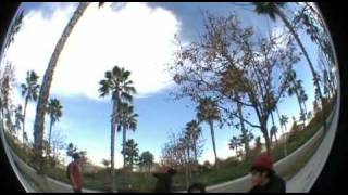 Simply Shredding Spots