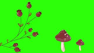 2D Flower Animatio Green Screen - Free For Use -Non Copyrigh