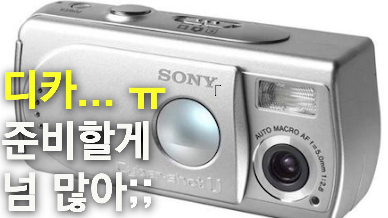 디카가 별건가? 다 준비하다가 되 판다에 손모가지...