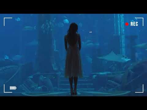 Тимати - Падаем