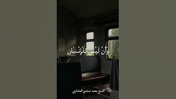 وَأَنْ لَيْسَ لِلْإِنْسَانِ إِلَّا مَا سَعَى | القرآن الكريم بصوت الشيخ محمد صديق المنشاوي 🤎