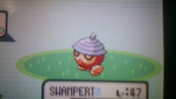 [FLoYT] (Phase 4) Live Shiny Seedot 964 REs