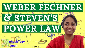 Weber Fechner law and Steven Power law | Sensory physiology lectures | CNS physiology mbbs 1st year
