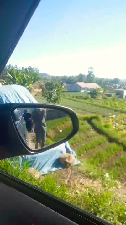 STORY PEMANDANGAN DI MOBIL 30 DETIK