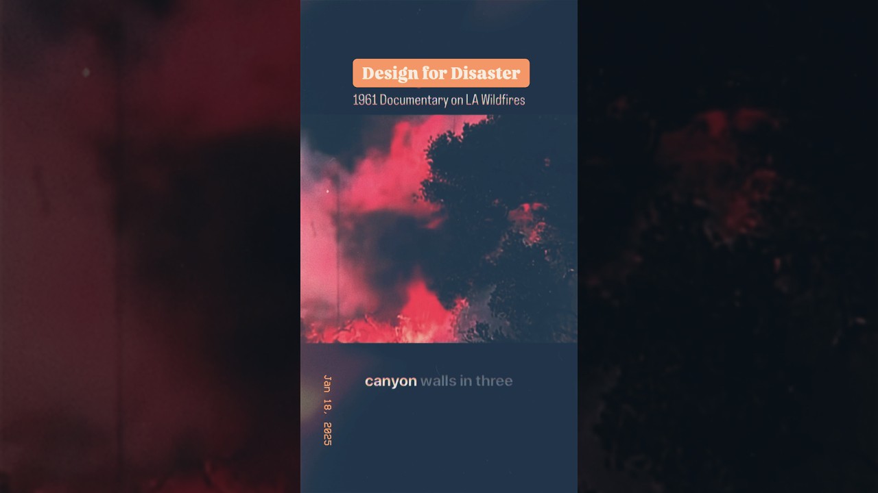 Design for Disaster:  The story of the Bel Air Fire of 1961 that spotlights how LA susceptible to🔥