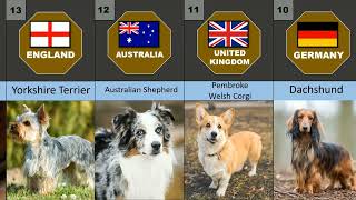 20 Most Popular Dog Breeds in 2022