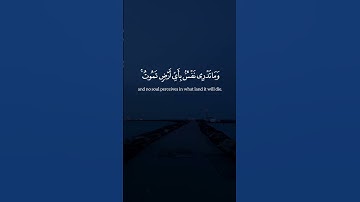 سورة لقمان Surah Luqman, verse 34 #quran