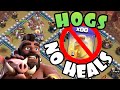 HOGS WITHOUT HEALS?! INSANE TH13 Attacks in the Platoon Tournament GRAND FINALS! Clash of Clans