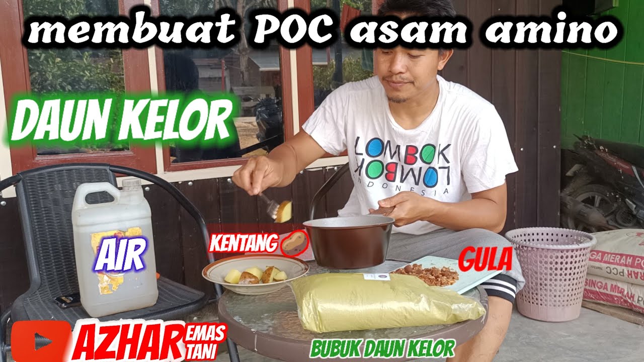 PRMBUATAN POC ASAM AMINO DAUN KELOR BUBUK. PUPUK SUPER LENGKAP