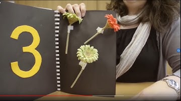 Using tactile resources to support visually impaired children