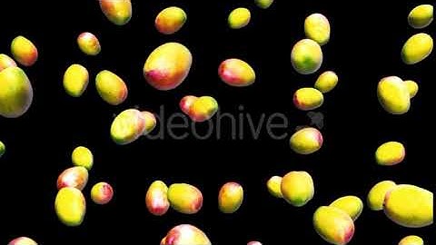 Infinite Rain of Mango on Black | Motion Graphics - Envato elements