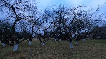 Chimera7 gopro9 #fpv #drone #cinematic