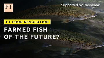 A better way to farm fish? | FT Food Revolution