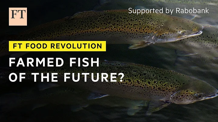 A better way to farm fish? | FT Food Revolution - DayDayNews