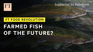 A better way to farm fish? | FT Food Revolution screenshot 2