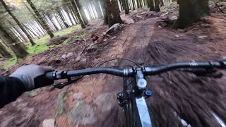 Rockrider A.M 50s Eats Up These Trails | Ticknock | Co. Dublin | Ireland |