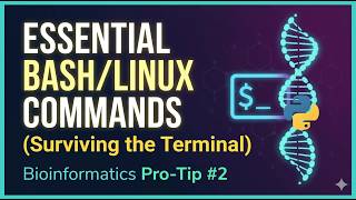 Bioinformatics Pro-Tip #2: Essential Bash/Linux Commands (Surviving the Terminal)