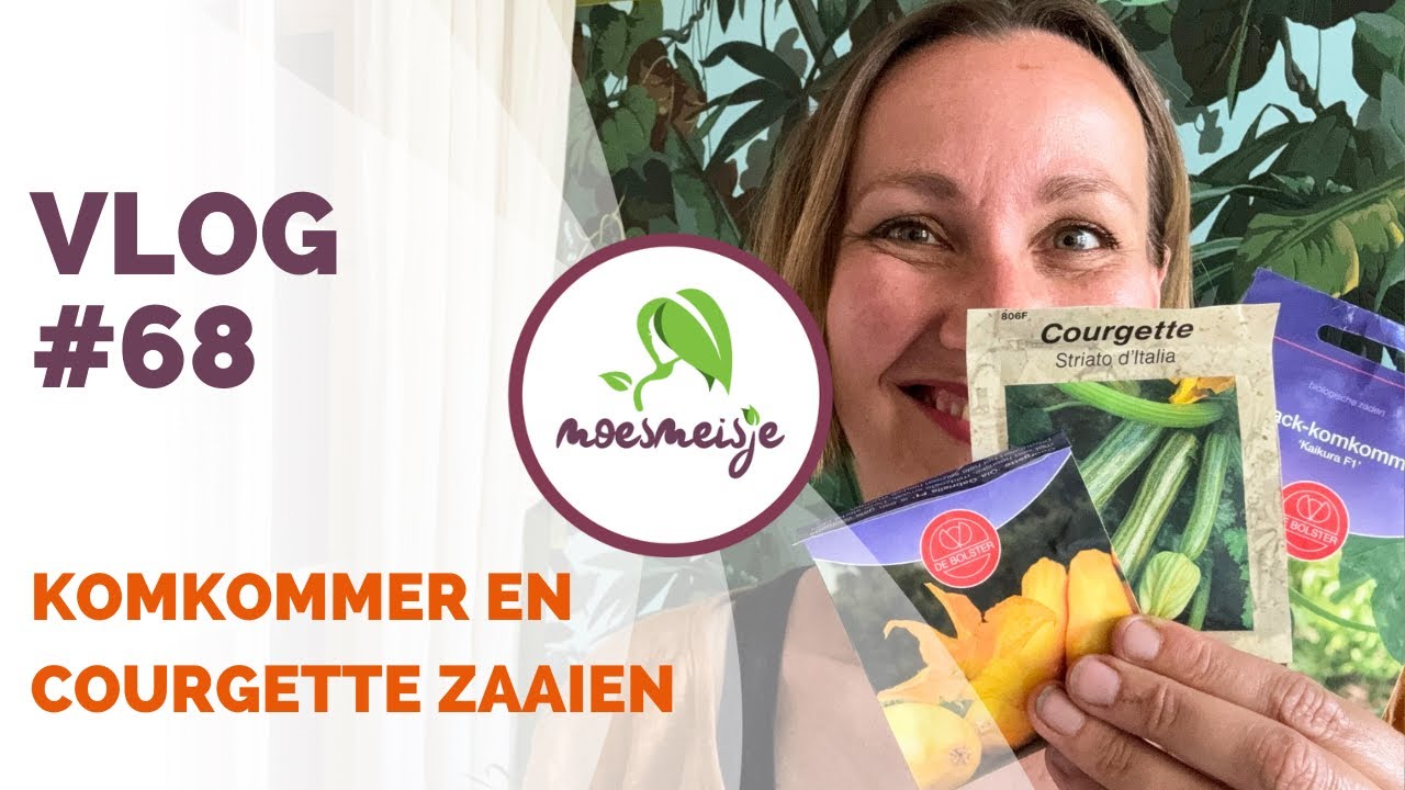 MOESTUIN VLOG #68 | Komkommer en courgette zaaien, wortel en bladgewassen zaaien, tuinboon planten