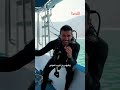 يجب أن تغوص في هذا البحر يجب أن تغوص في هذا البحر