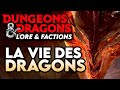 La vie des dragons lore dd 