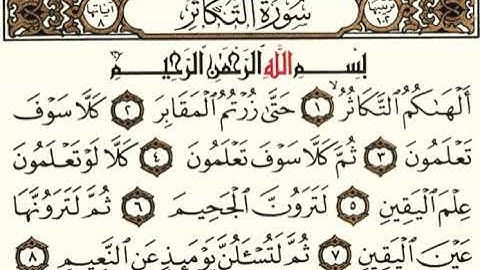 (102) سورة التكاثر | شيخ الزين محمد احمد