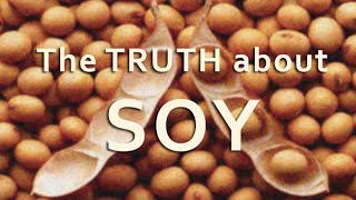 The Truth about SOY (and estrogens)