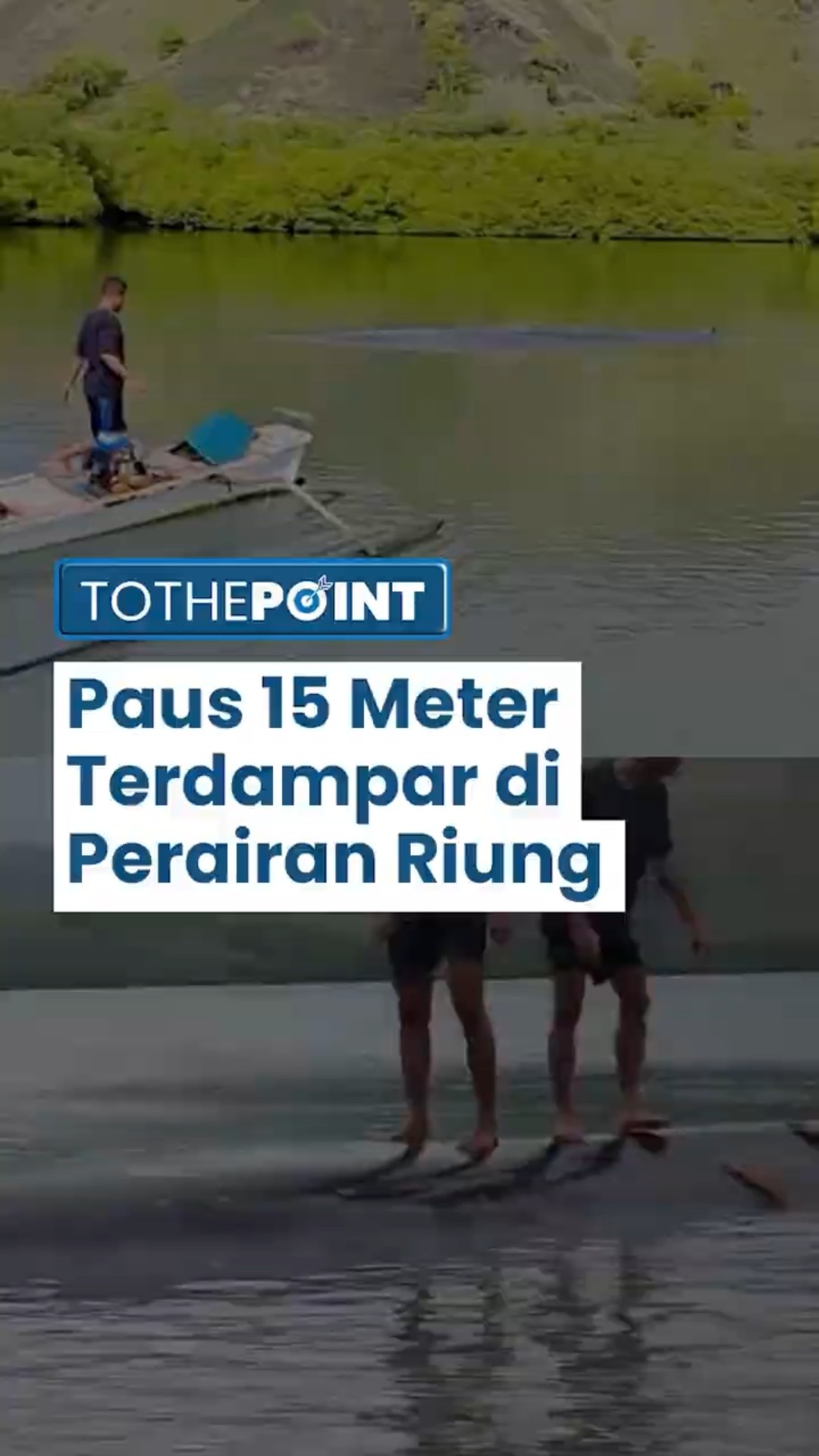 Seekor Paus Berukuran Panjang 15 Meter Ditemukan Terdampar di Perairan Riung dalam Kondisi Hidup