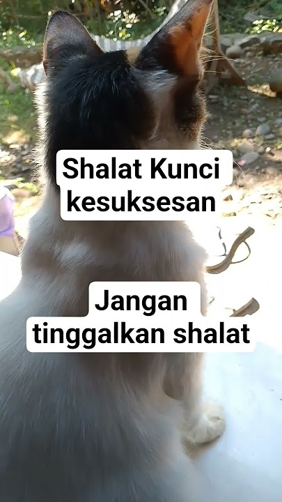 shalat kunci kesuksesan #ustadzadihidayat #ustadzadihidayatofficial