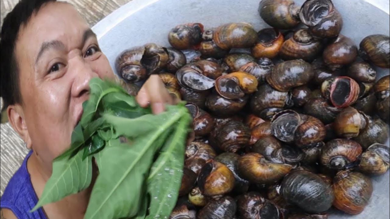 INI BARU SEAFOOD LALAPAN DAON PEPAYA | Extreme Food #extremefood | Extreme Food