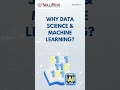 North America Data Science and Machine Learning Service Market 2024 - 2030