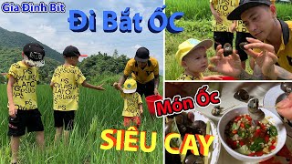 Bít đi băt ốc ruộng làm món ốc siêu cay | Gia Đình Bít