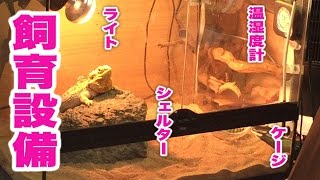 フトアゴヒゲトカゲの飼育設備☆おちょこさんの場合