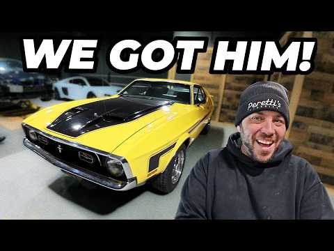 Buying Our 17th Yellow Mach 1!